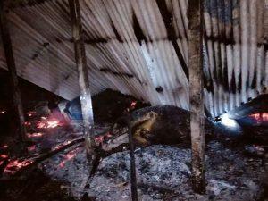 কাজিপুর উপজেলা তেকানী ইউনিয়নের৭ নং ওয়ার্ড  পারখুকশিয়া ঈদ গা মাঠের পাশের বাড়ি   কৃষক আছিমুদ্দি ও তার বড় ছেলে রেজাউলের বাড়িতে অদ্য রাত আনুমানিক ১০.২০ টায় গোয়াল ঘরে কোয়েলের আগুন লেগে ব্যাপক ক্ষয়ক্ষতি  হয়। এতে প্রায় ৩ লক্ষ টাকা মুল্যের তিনটি গরু পুড়ে যায়।  ৩০ হাজার টাকার মত দুইটা ছাগল পুড়ে ছাই হয়ে যায় টিনের গোয়ালঘর সহ পাকের ঘরও পুড়ে যায়।    আছিমুদ্দিন ও তার বড় ছেলে রেজাউল আজ দিশেহারা হয়ে বসে  আছে আল্লাহ সহায় হন আমিন