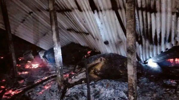 কাজিপুর উপজেলা তেকানী ইউনিয়নের৭ নং ওয়ার্ড পারখুকশিয়া ঈদ গা মাঠের পাশের বাড়ি কৃষক আছিমুদ্দি ও তার বড় ছেলে রেজাউলের বাড়িতে অদ্য রাত আনুমানিক ১০.২০ টায় গোয়াল ঘরে কোয়েলের আগুন লেগে ব্যাপক ক্ষয়ক্ষতি হয়। এতে প্রায় ৩ লক্ষ টাকা মুল্যের তিনটি গরু পুড়ে যায়। ৩০ হাজার টাকার মত দুইটা ছাগল পুড়ে ছাই হয়ে যায় টিনের গোয়ালঘর সহ পাকের ঘরও পুড়ে যায়। আছিমুদ্দিন ও তার বড় ছেলে রেজাউল আজ দিশেহারা হয়ে বসে আছে আল্লাহ সহায় হন আমিন